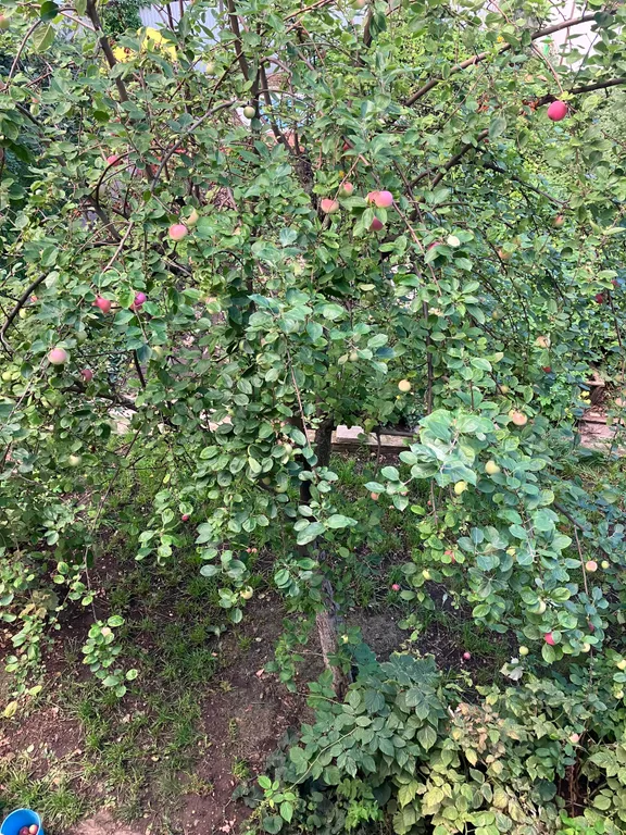 Трёхэтажный коттедж с сауной и бассейном в тихом заливе волги