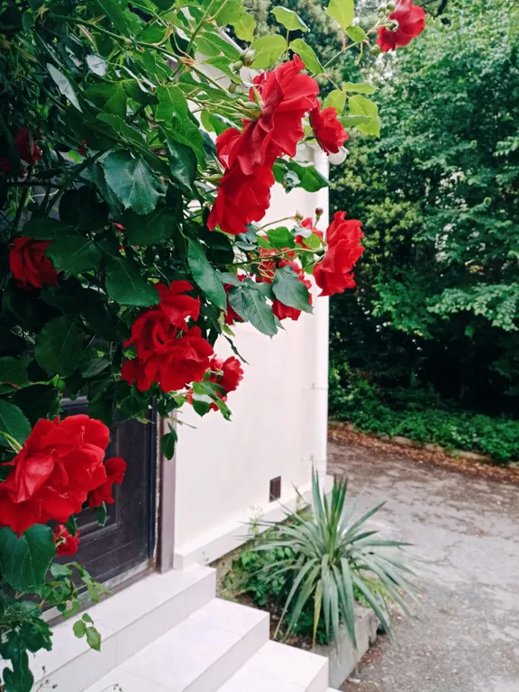 Просторная квартира с бесплатной стоянкой