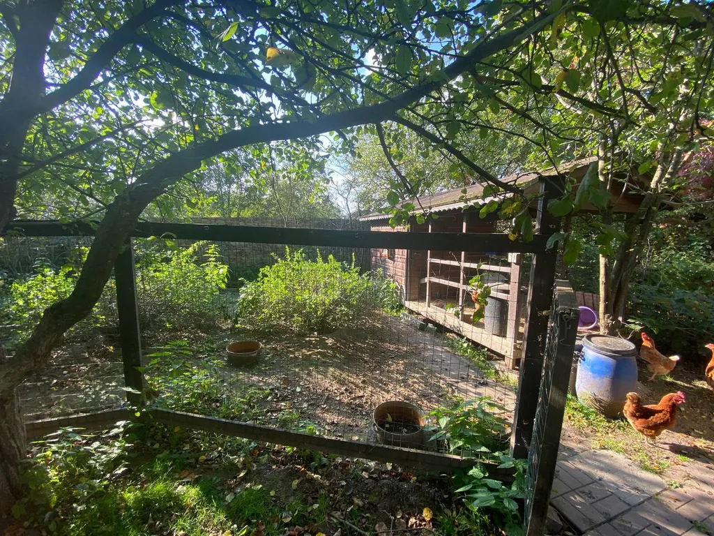 Уютный дом с баней и подворьем