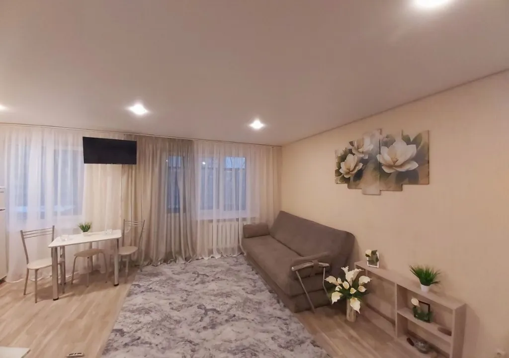 Уютная студия напротив больницы Миротворцева