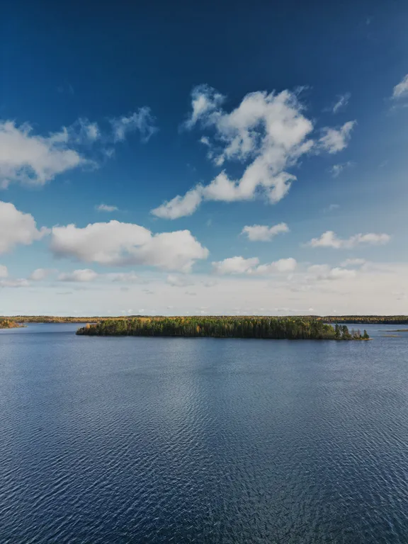Дом в Карелии с видом на сосновый лес