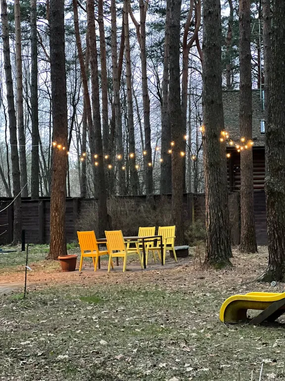 Загородный дом в соснах недалеко от Москвы