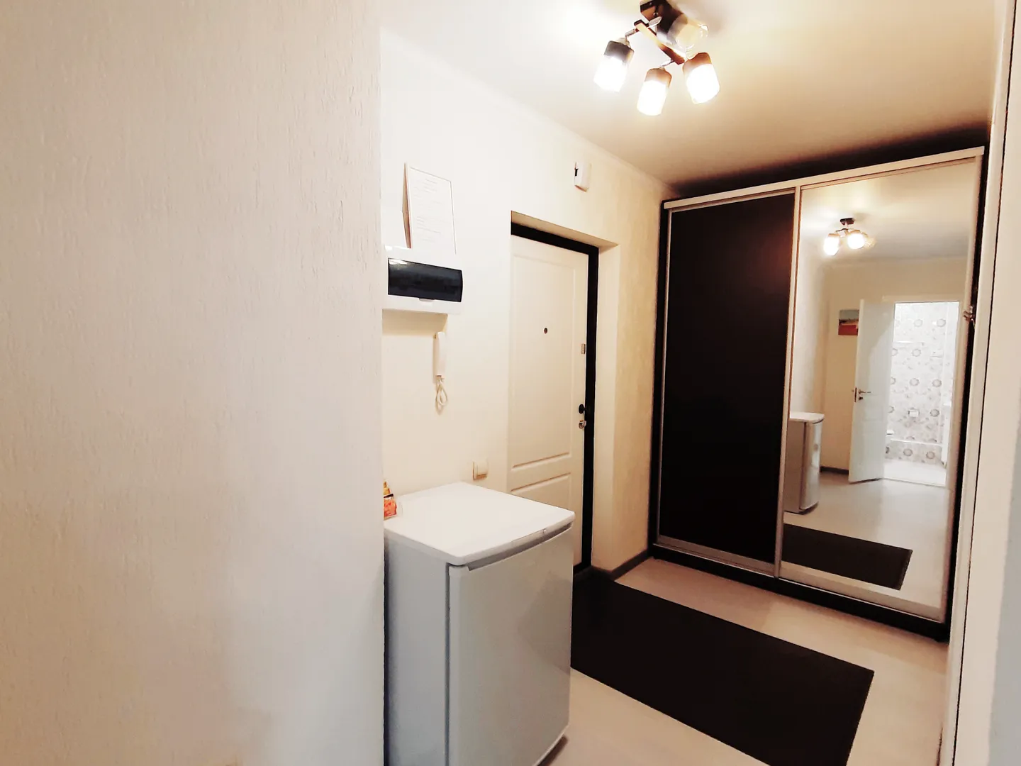 На сутки в Воронеже. flat-all 142. Гардеробная с зеркальной раздвижной дверью. Мини холодильник.