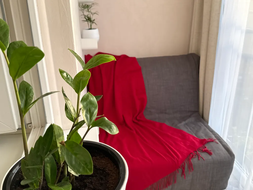 Большие и комфортные апартаменты