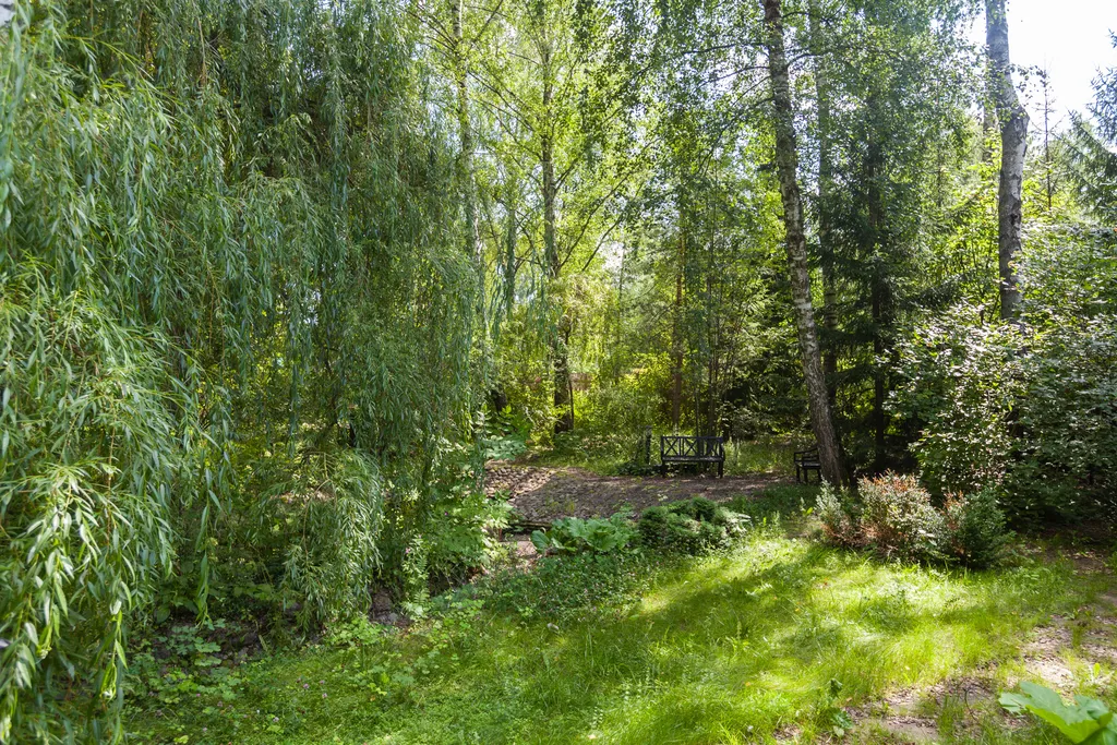 Загородный дом с бассейном, сауной и собственным лесом на участке