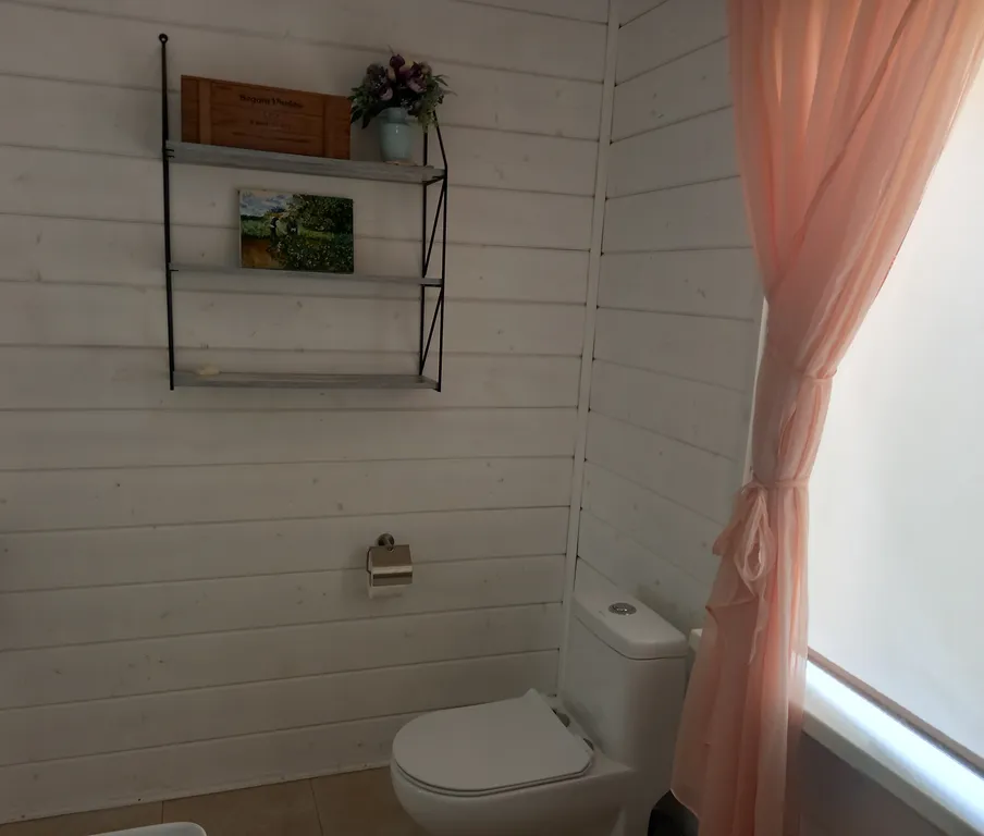 Дом с бассейном и баней