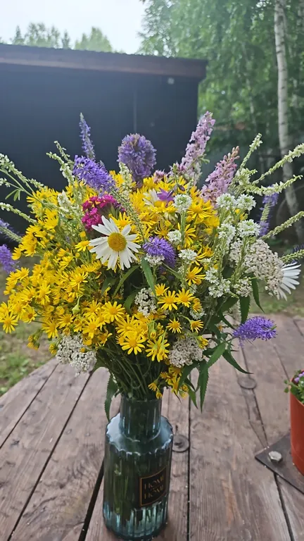 Загородный дом под соснами с сауной и чаном