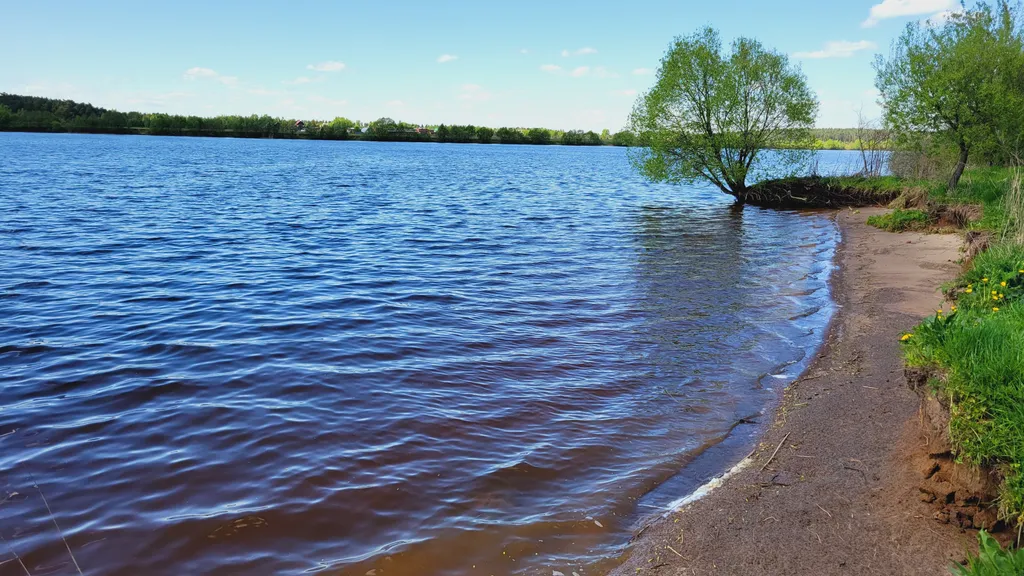 Гостевой дом в Подмосковье по Дмитровскому ш. Дом на берегу р.Волга
