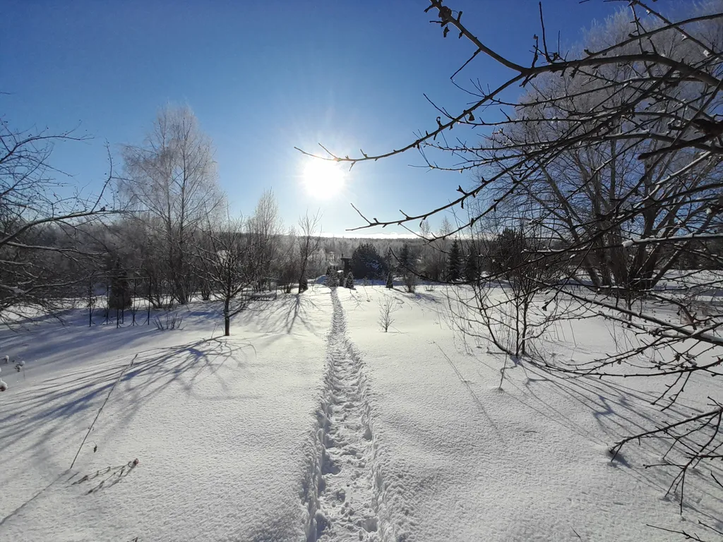 Теплый деревянный дом у воды