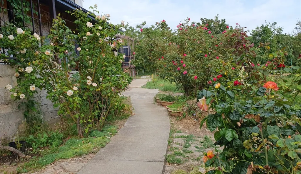 Стандартная спальня