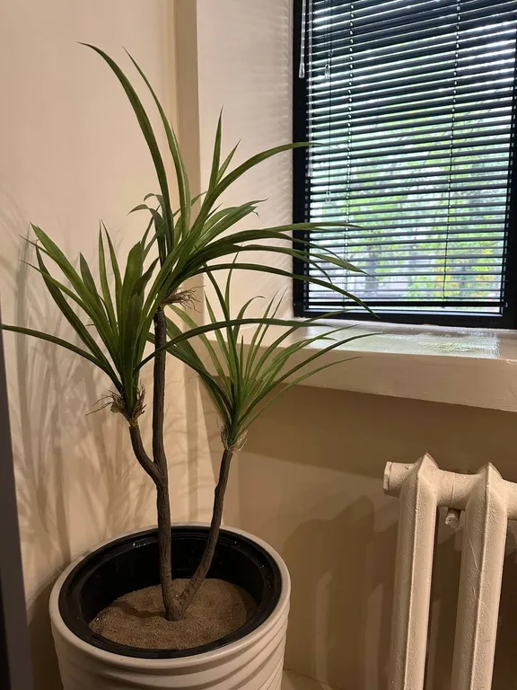 Квартира Студия в центре города — аренда посуточно в Хабаровск