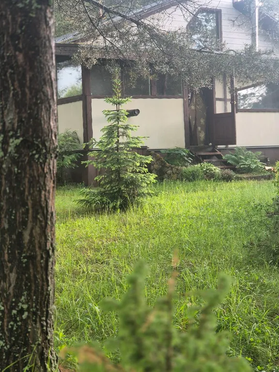 Эко - дом в лесу в гостях у Миродары