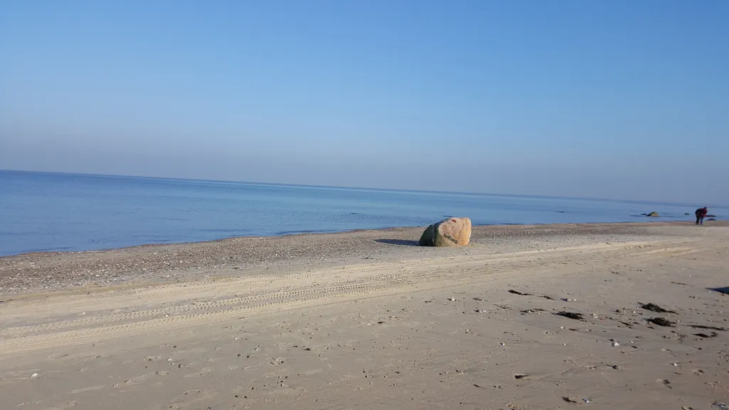 Загородный дом Филино с сауной, садом и барбекю