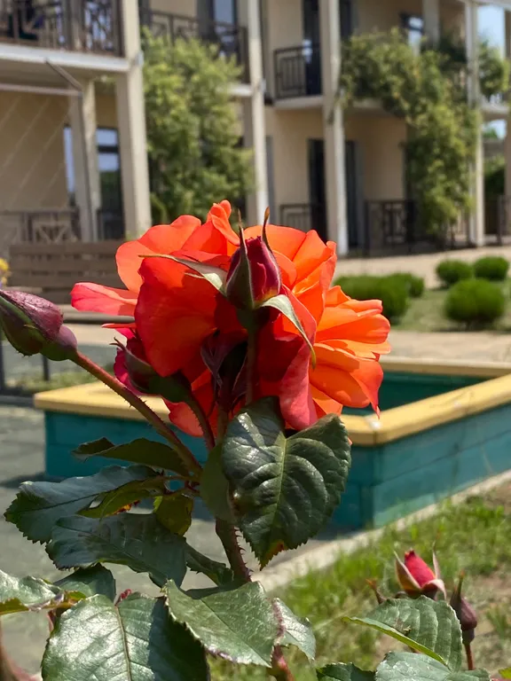 Квартира Комната — Витино