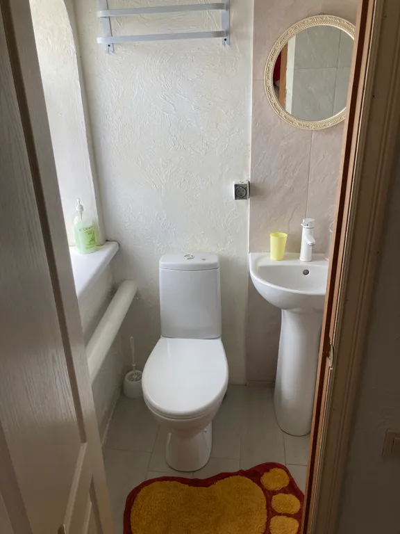 Номер с русской печью и санузлом