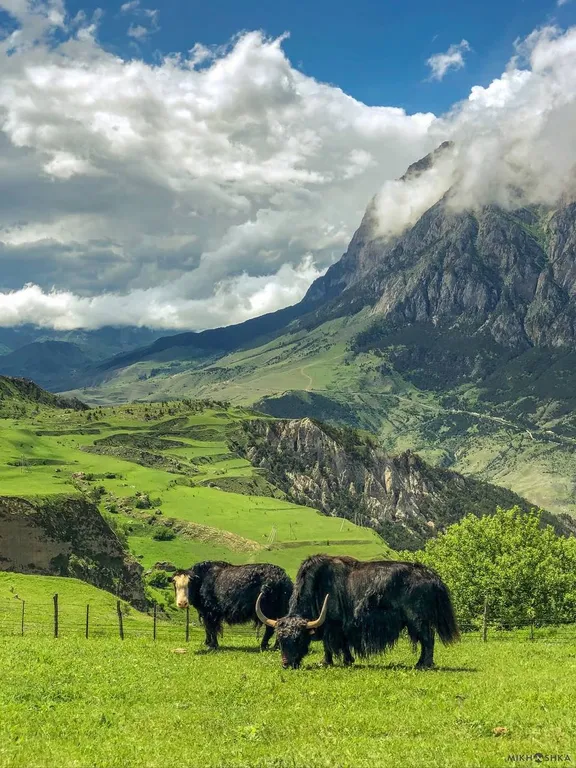 Стильная квартира Майами от Juls Apart