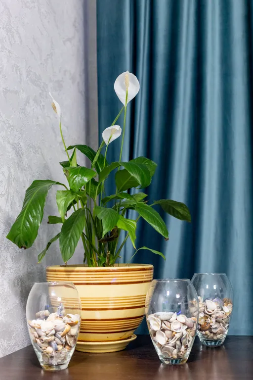 Костер и море - Тёплый дом в центре Йошкар-Олы