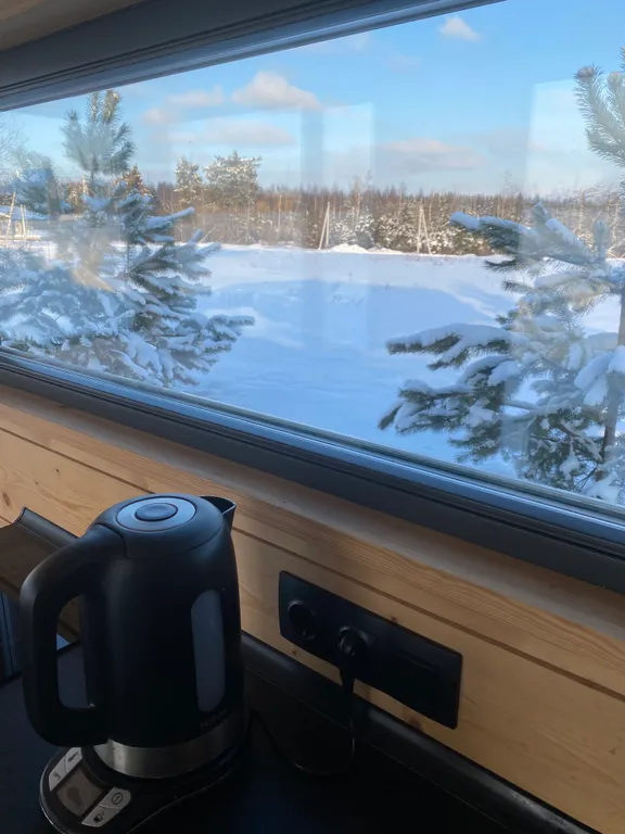 Мини дом с панорамными окнами