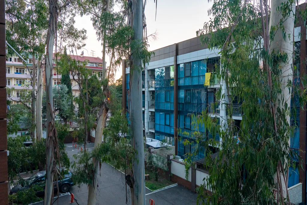 Апартаменты четырёхместные, новые, шикарные, море очень близко