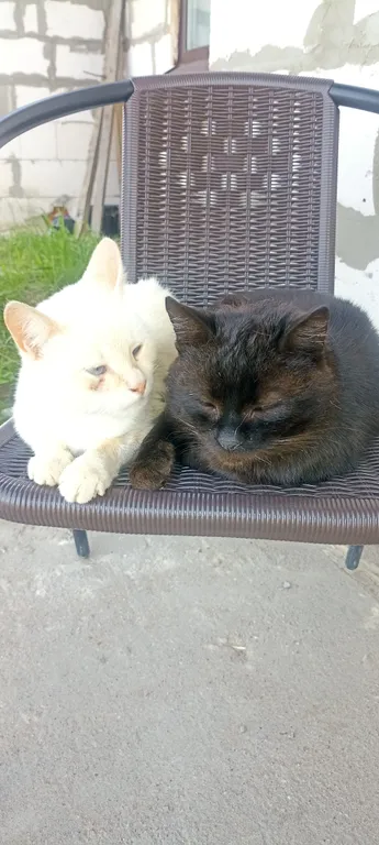 Усадьба Анатолия