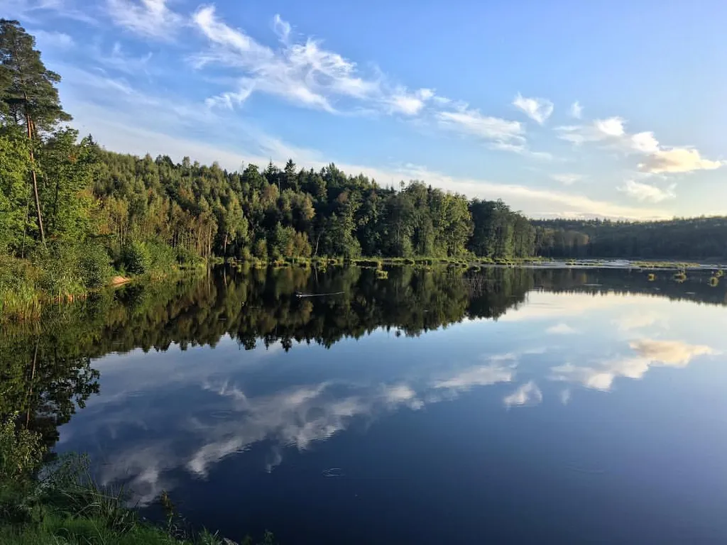 Апартамент Под Дубом