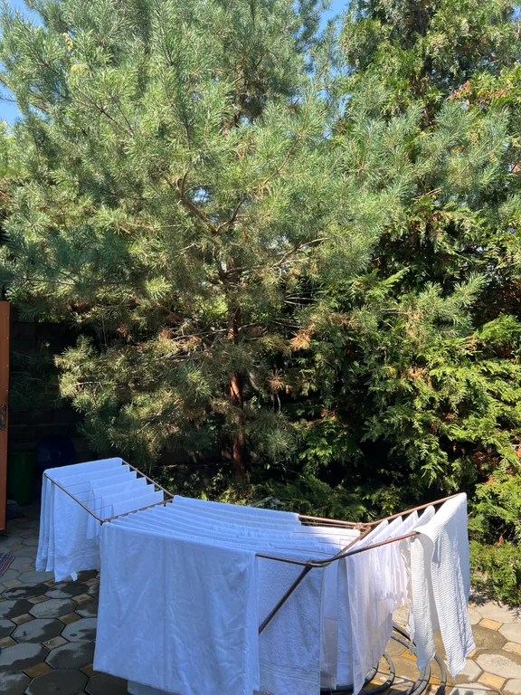 Коттедж Уютный комфортабельный дом в лесу — Касумкент