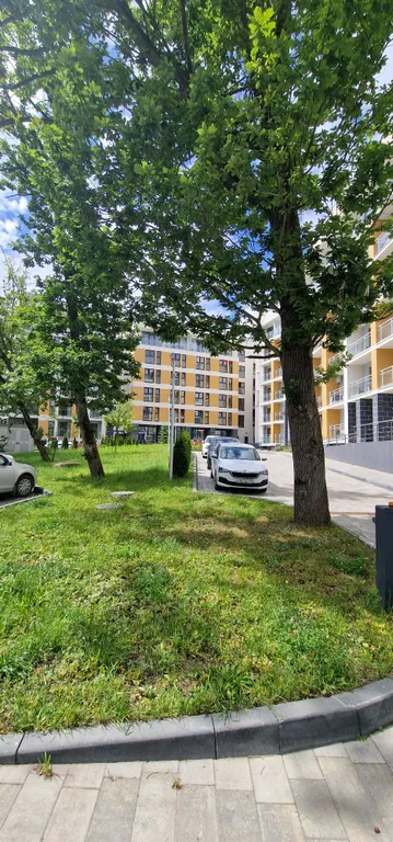 Апартамент с видом на лес