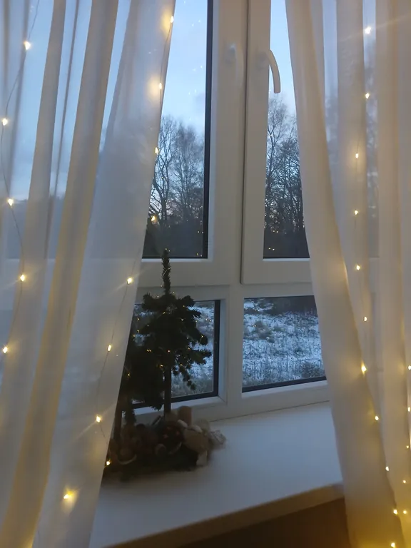 Квартира в Пионерском