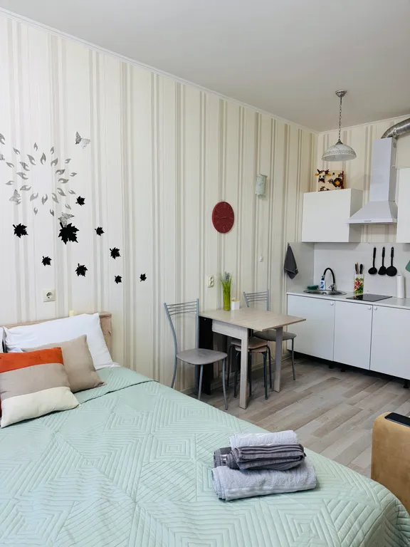 Уютная студия у метро