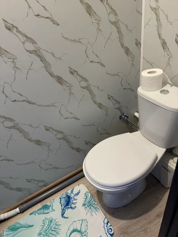 Серьёзный Ёжик