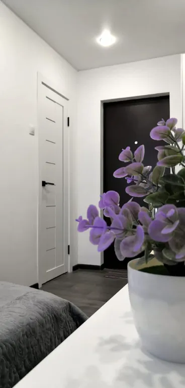 Уютная маленькая квартира в центре