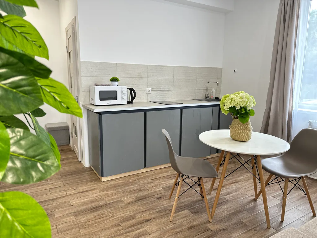 Уютный апартамент столица