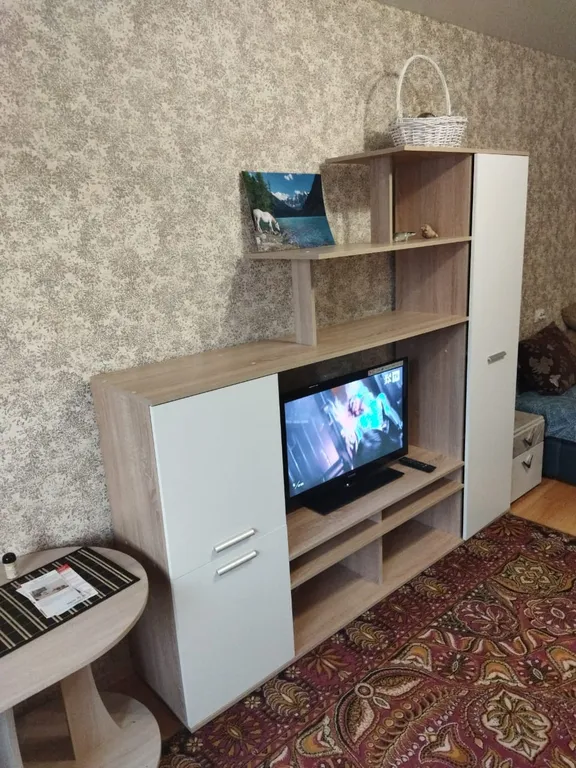 Уютная квартира в центре — аренда посуточно в Белокуриха