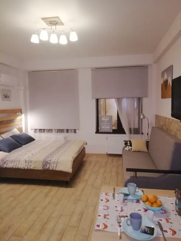 Уютная студия на Плотинной