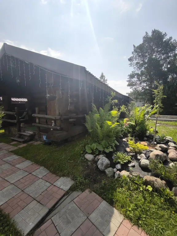 Кедровый коттедж на берегу Катуни