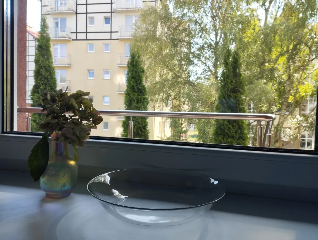 Квартира Уникальная квартира с выходом на свою зелёную террасу, до моря 15 минут — Светлогорск