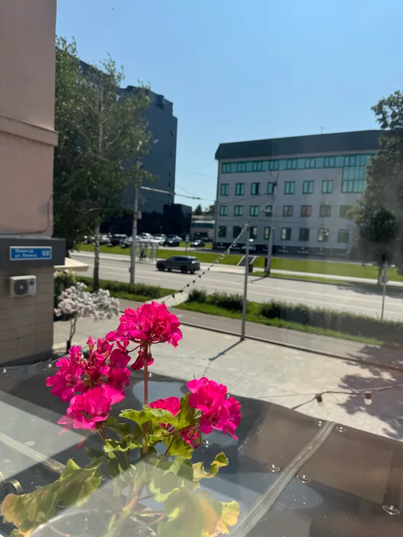 Красивая квартира в центре