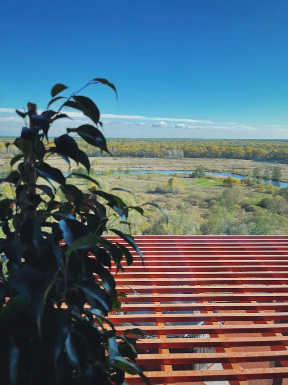 Коттедж с двумя спальнями