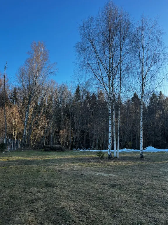 Лисий домик с камином