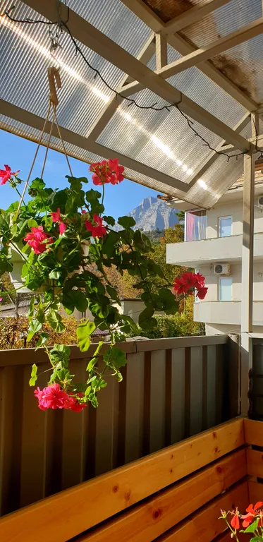 Квартира Львиный Домик