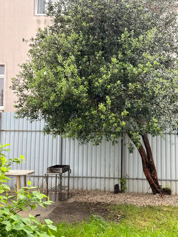 Коттедж под ключ, с удобствами внутри