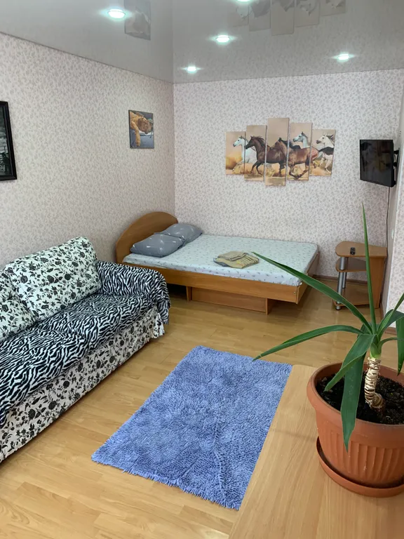 Уютная квартира на первом этаже в центре города — аренда посуточно в Ишим