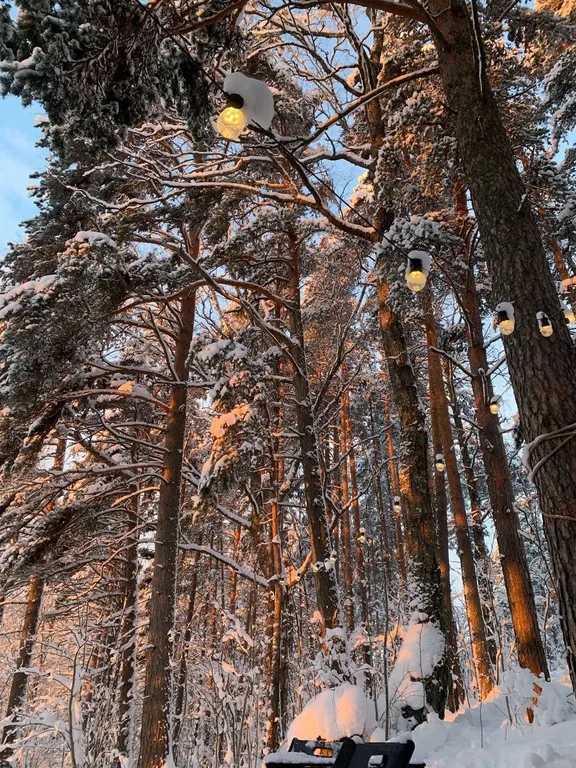 Коттедж Панорамный домик в стиле барнхауз — Кротово