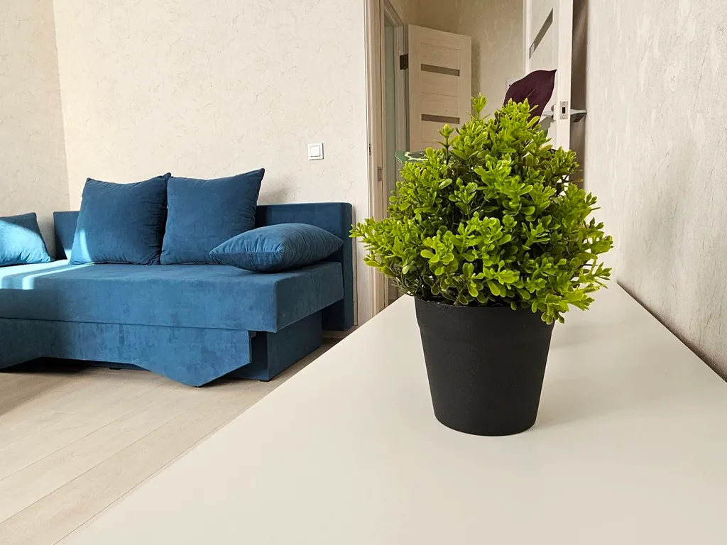 Квартира Квартира Пионерский маяк — Пионерский