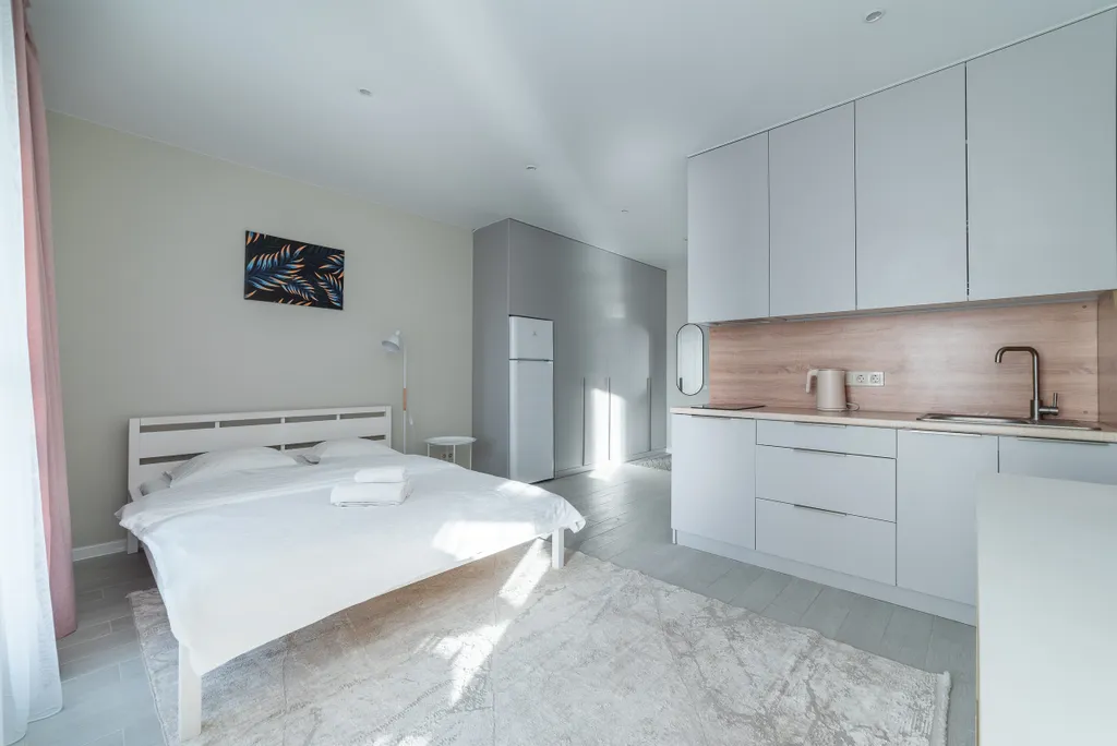 Квартира студия Минск Мир