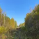 Денис Нарейко