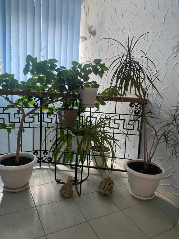 Уютная студия в самом центре города