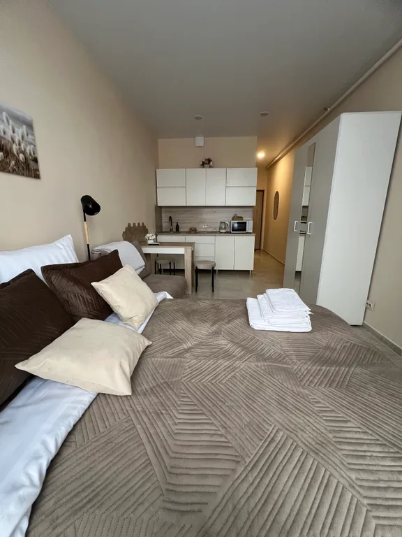 Уютные апартаменты со всем необходимым