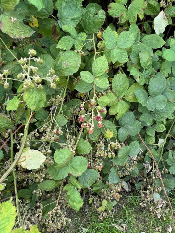 Коттедж Домик для семьи — Кучугуры