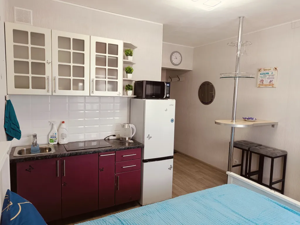 Уютная студия с балконом у Аграрного университета и метро